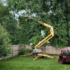 Best Tree Risk Assessment  in Benld, IL